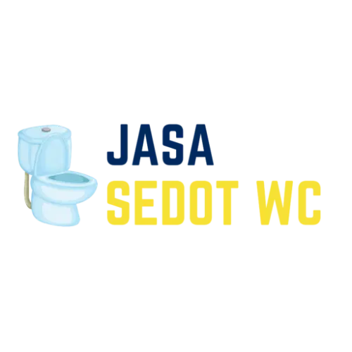 Sedot WC Mampet  di Negara Bali